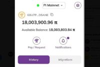 Kembali Viral, Teltlk Memiliki 18 Juta Koin Pi Network di Wallet