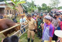 Program Kampung Sapi oleh Andi Utta-Edy Manaf Berhasil di Bulukumba