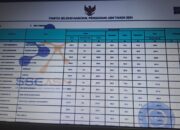 Ini Pengumuman Lulus Hasil Seleksi PPPK 2024 Tahap I Kabupaten Bulukumba